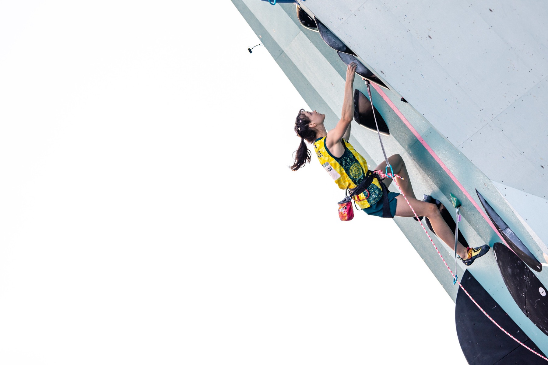 Drapella/ Virt / IFSC