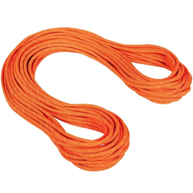 Mammut 9.8 Crag Dry Rope corde d'escalade