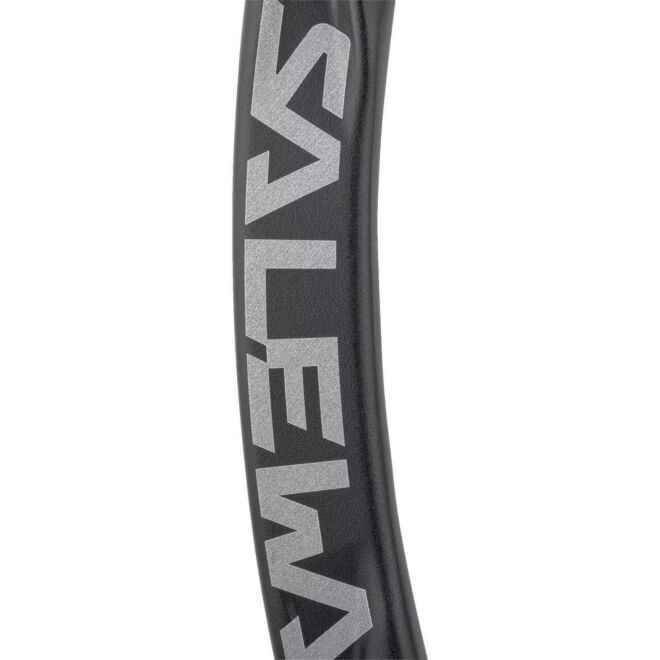 SALEWA Ortles Straight Carabiner mousqueton d'escalade