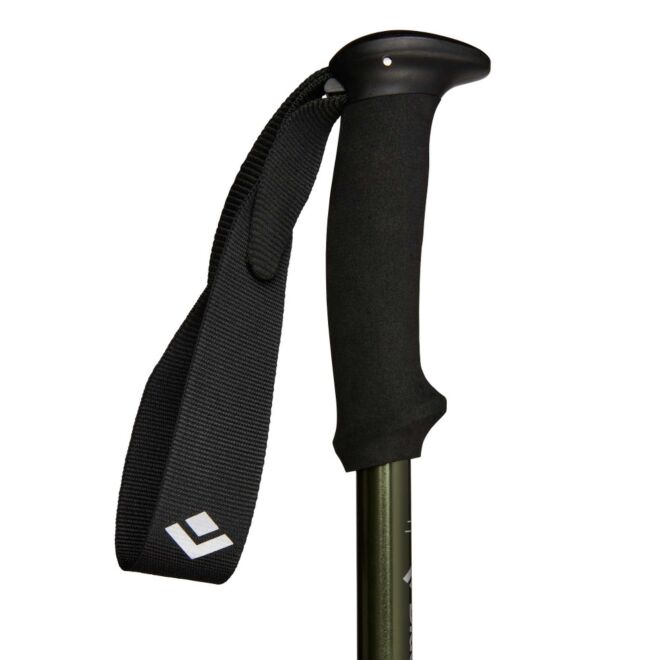 BD Black Diamond Explorer 3 bâtons de trekking
