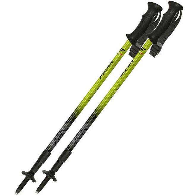 Fizan Explorer bâtons de trekking
