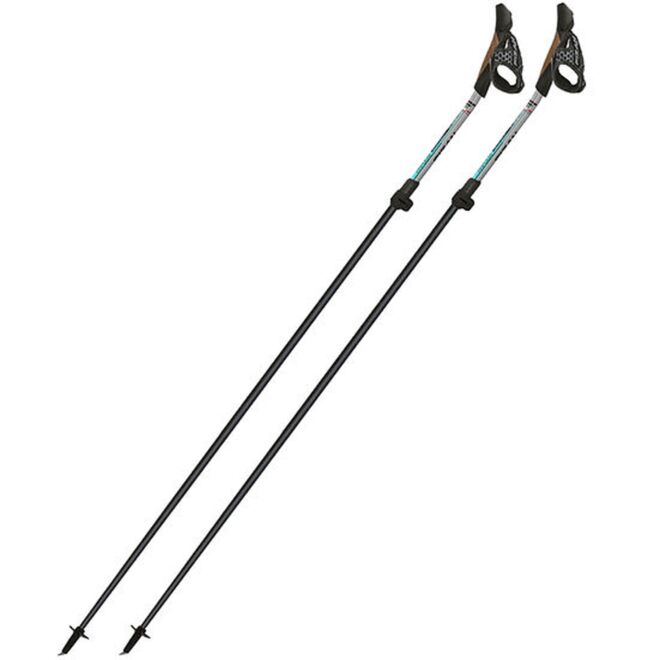 Fizan Tekno Impulse Nordic bâtons marche nordique