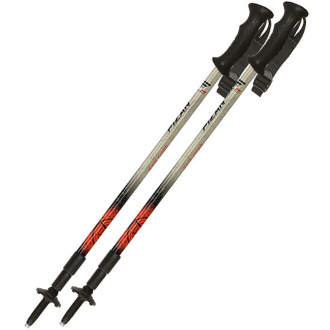 Fizan Explorer bâtons de trekking