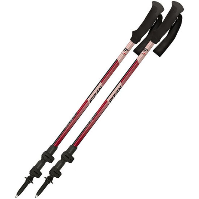 Fizan Trek Pro L bâtons de trekking