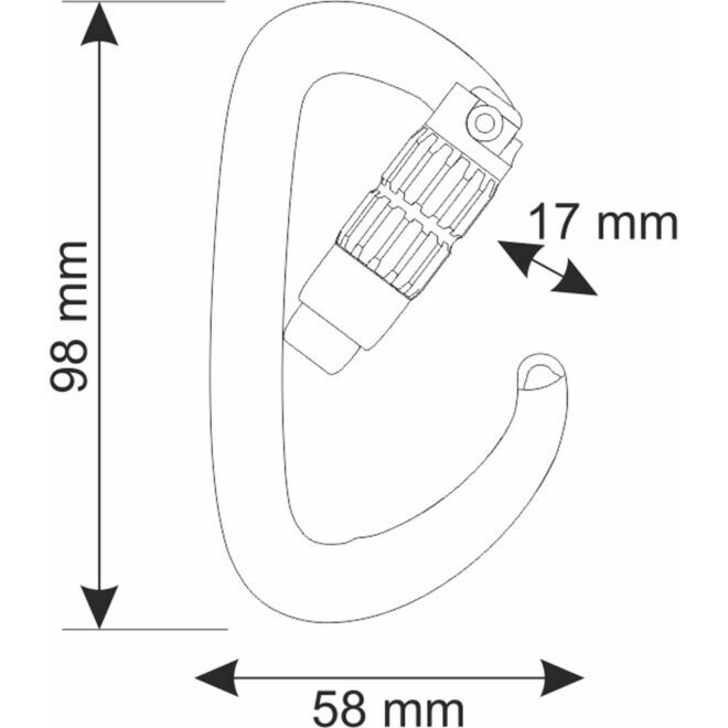 CAMP Orbit 2Lock mousqueton d'escalade