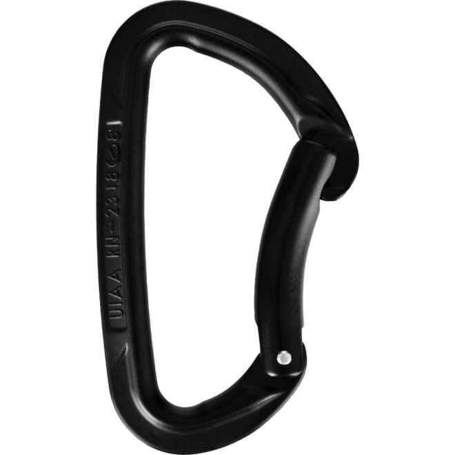 Wild Country Session Bent Gate carabiner escalade levier courbe