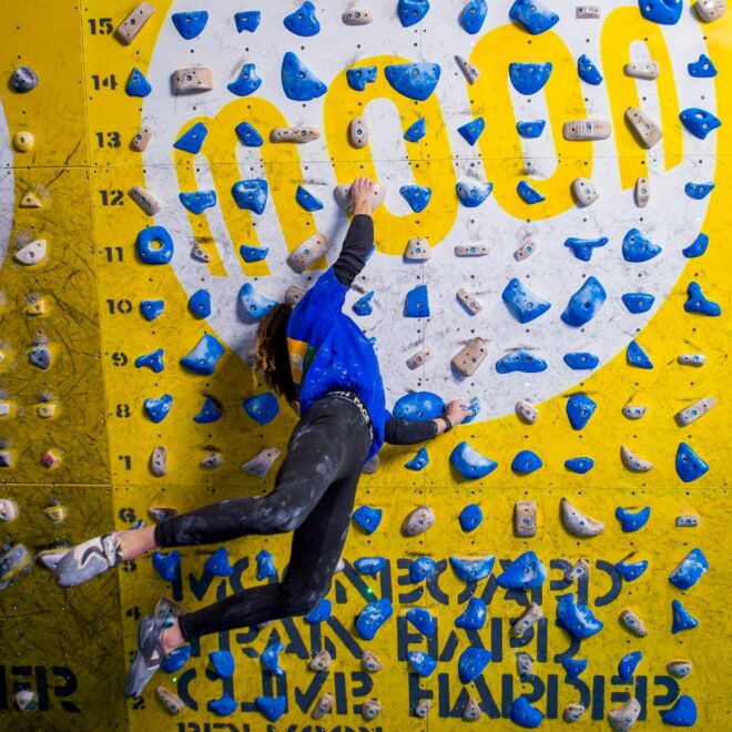 Moon School Holds - Set D 40 prises d'escalade