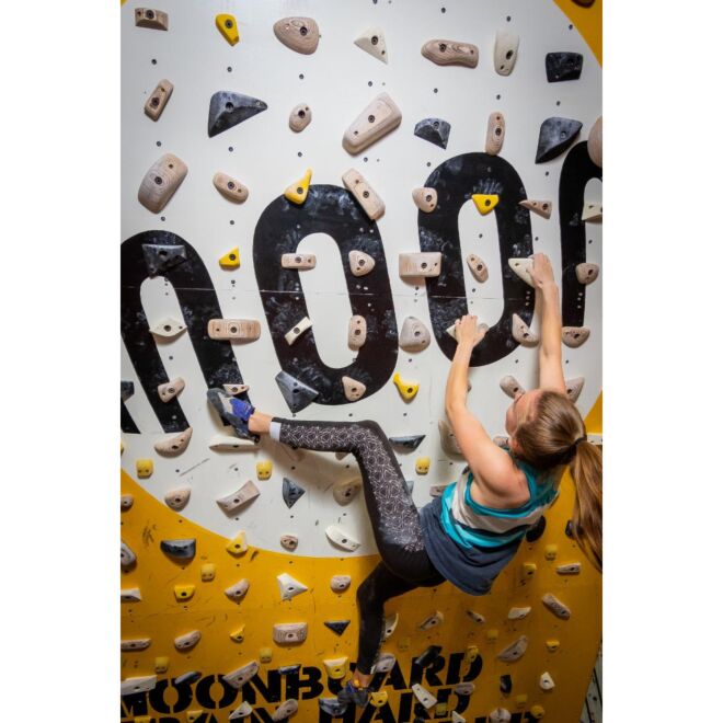 Moon School Holds Set B 50 prises d'escalade