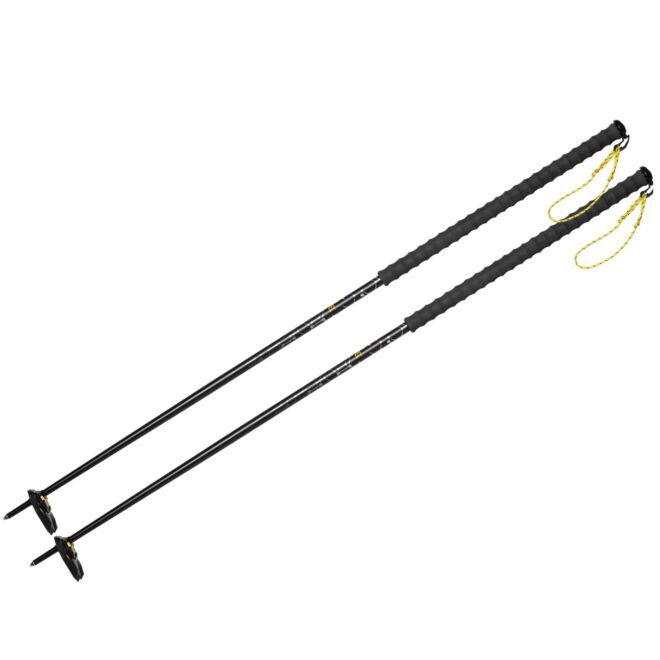 Grivel Anarchist bâtons de ski alpinisme