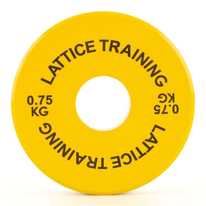 Lattice Training Fractional Weight Plates plaques de poids