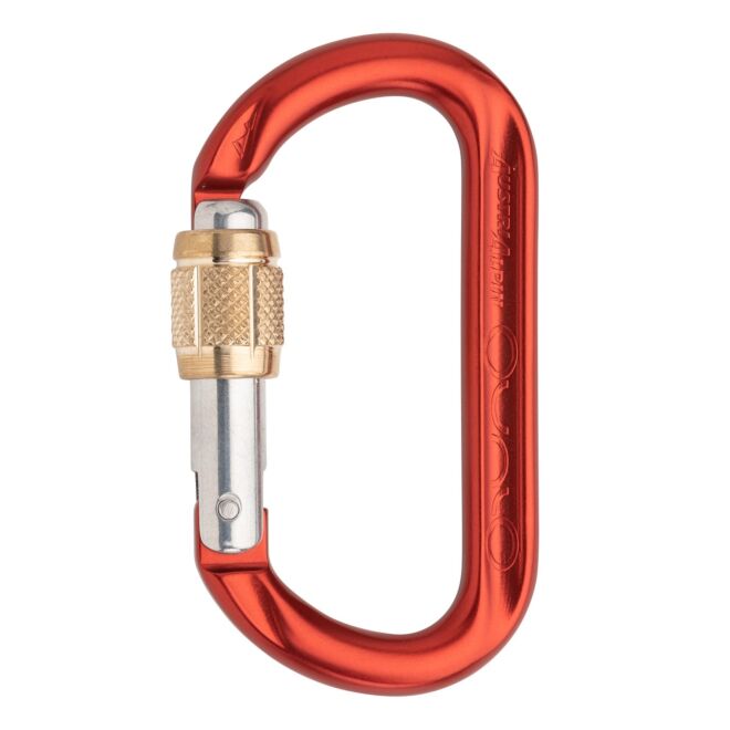AustriAlpin Ovalo GI carabiner à vis