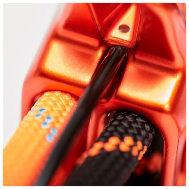Mammut Wall Alpine Belay assureur à secchiello escalade