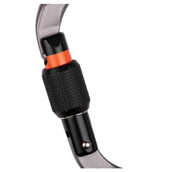 Mammut Workhorse HMS Screwgate carabiner à vis escalade