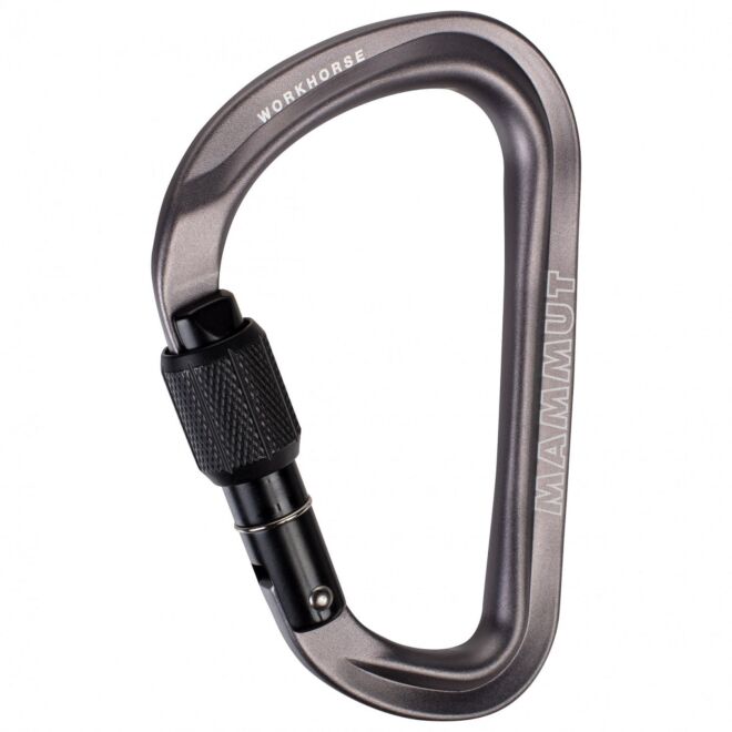 Mammut Workhorse HMS Screwgate carabiner à vis escalade