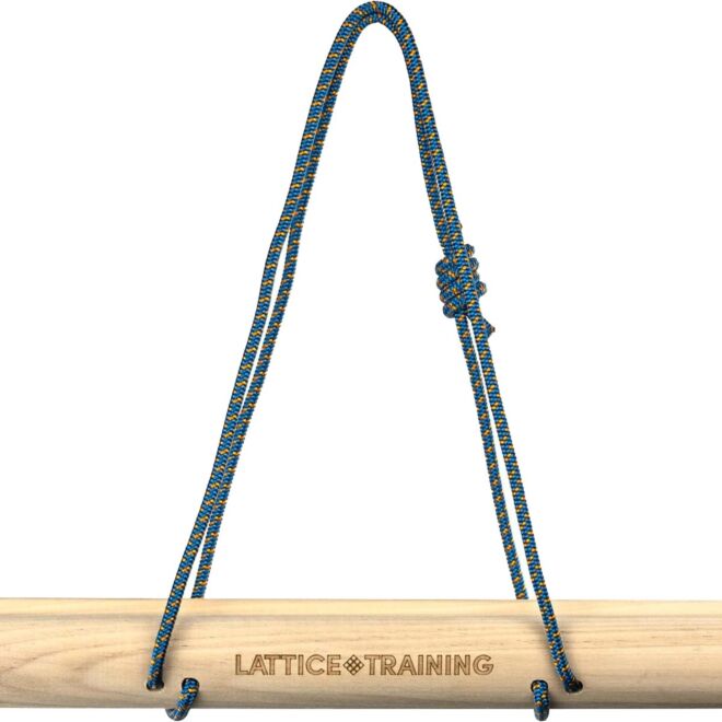 Lattice Training Mega Bar barre d'escalade portable