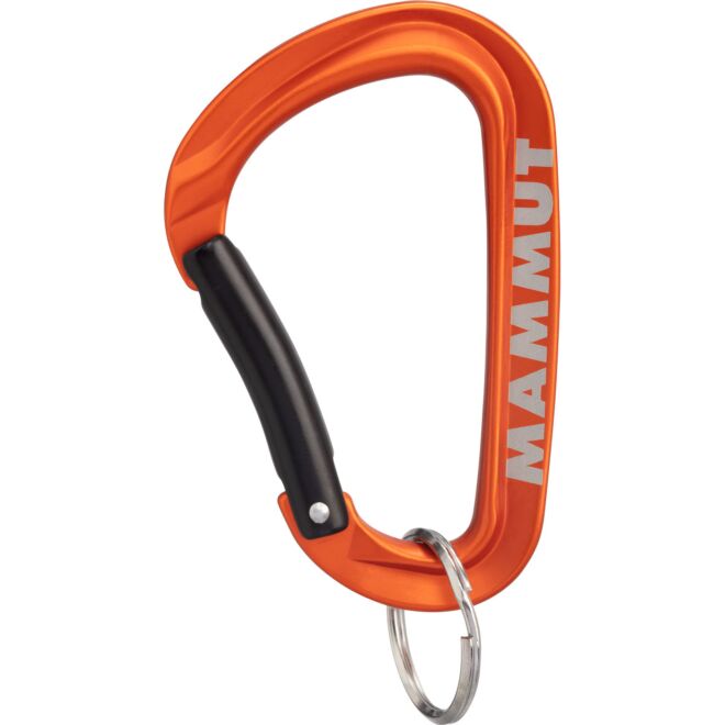 Mammut Mammut Mini Carabiner Workhorse Keylock L mousqueton porte-clés