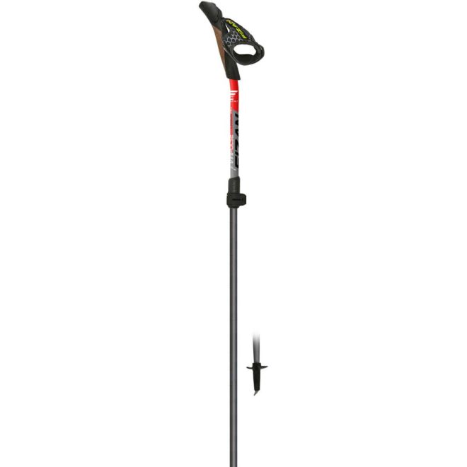 Fizan Carbon Pro Impulse bâtons de marche nordique