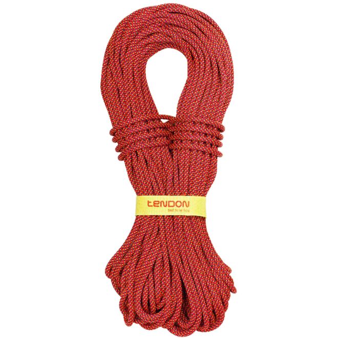 Tendon Alpine 7.9 mm corde à double escalade
