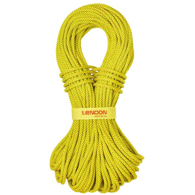 Tendon Alpine 7.9 mm corde à double escalade