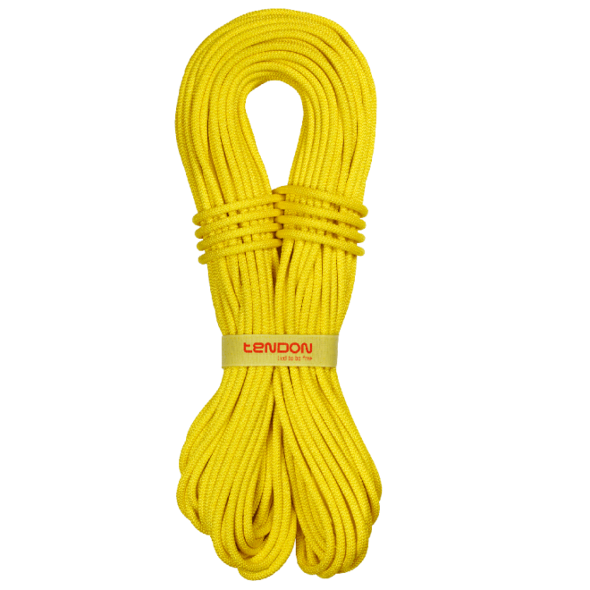 Tendon Lowe 8.4 mm CS corde à double escalade