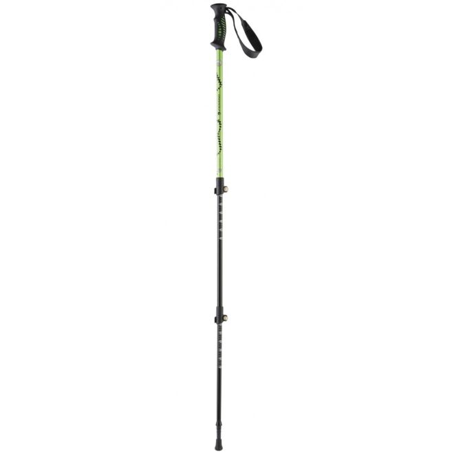 Ferrino Totem bâtons de trekking