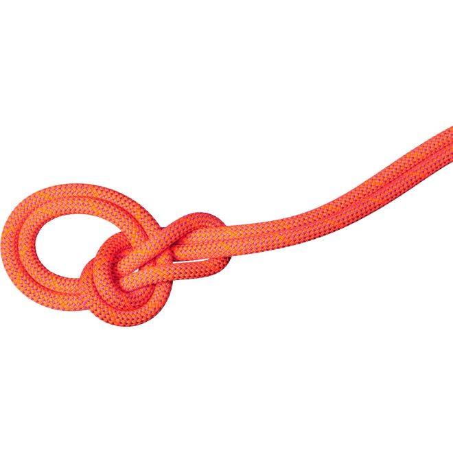 Mammut 9.8 Crag Dry Rope corde d'escalade