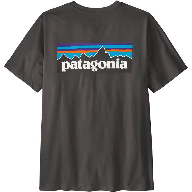 Patagonia M's P-6 Logo T-Shirt t-shirt homme