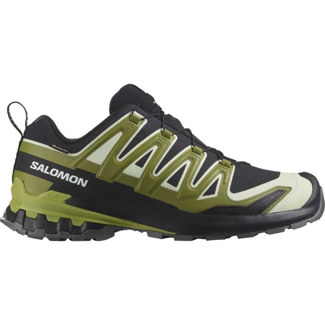 Salomon XA Pro 3D V9 GTX chaussures de trail running