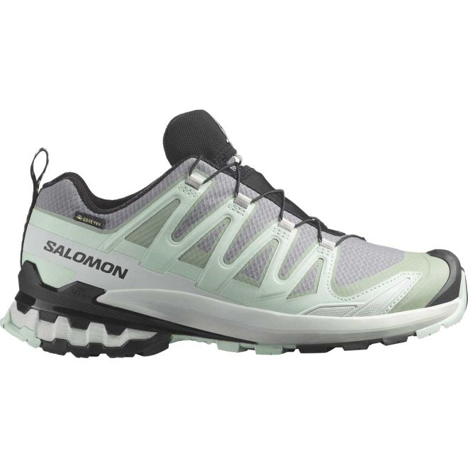 Salomon Shoes XA Pro 3D V9 GTX W chaussures de trekking