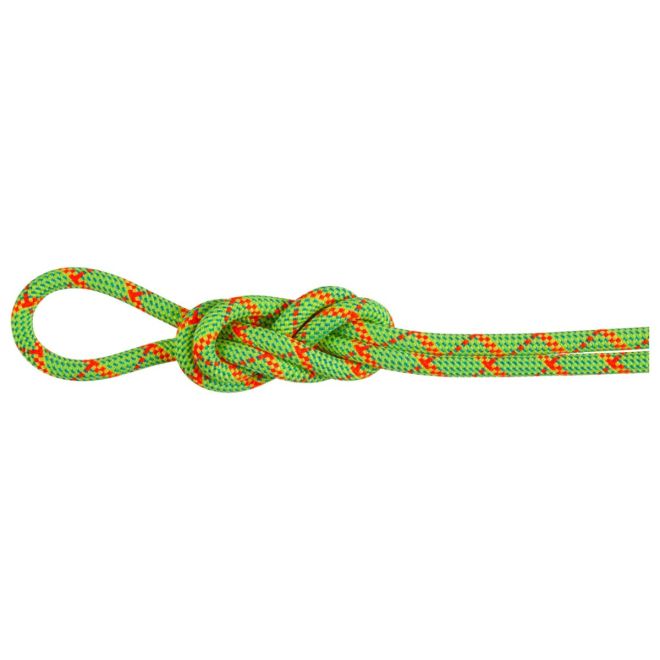Mammut 8.0 Alpine Core Protect Dry corde à double escalade