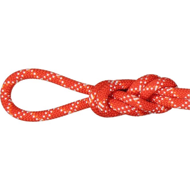 Mammut 9.5 Gym Classic Rope corde d'escalade